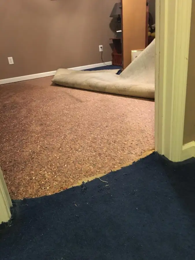 Carpet pad removal revealing water damage during Drying & Dehumidification in Cicero