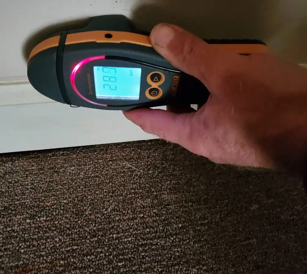 Moisture detection at baseboard during Sewage Cleanup & Sanitation in Cicero